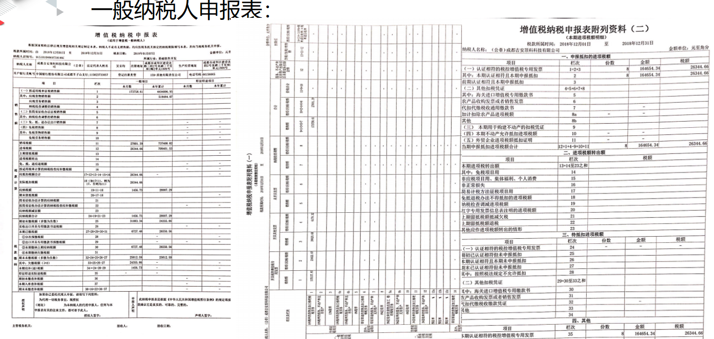 税务报道